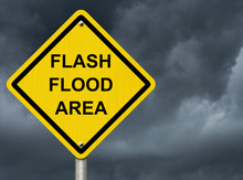 Calling Persephone: Flash Flood & Root Recall