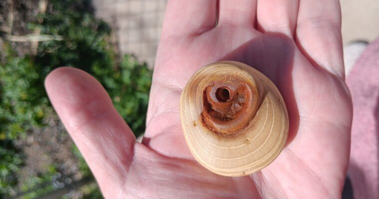 Mulberry & Turmeric: Learn From My Woodcarving Mistakes