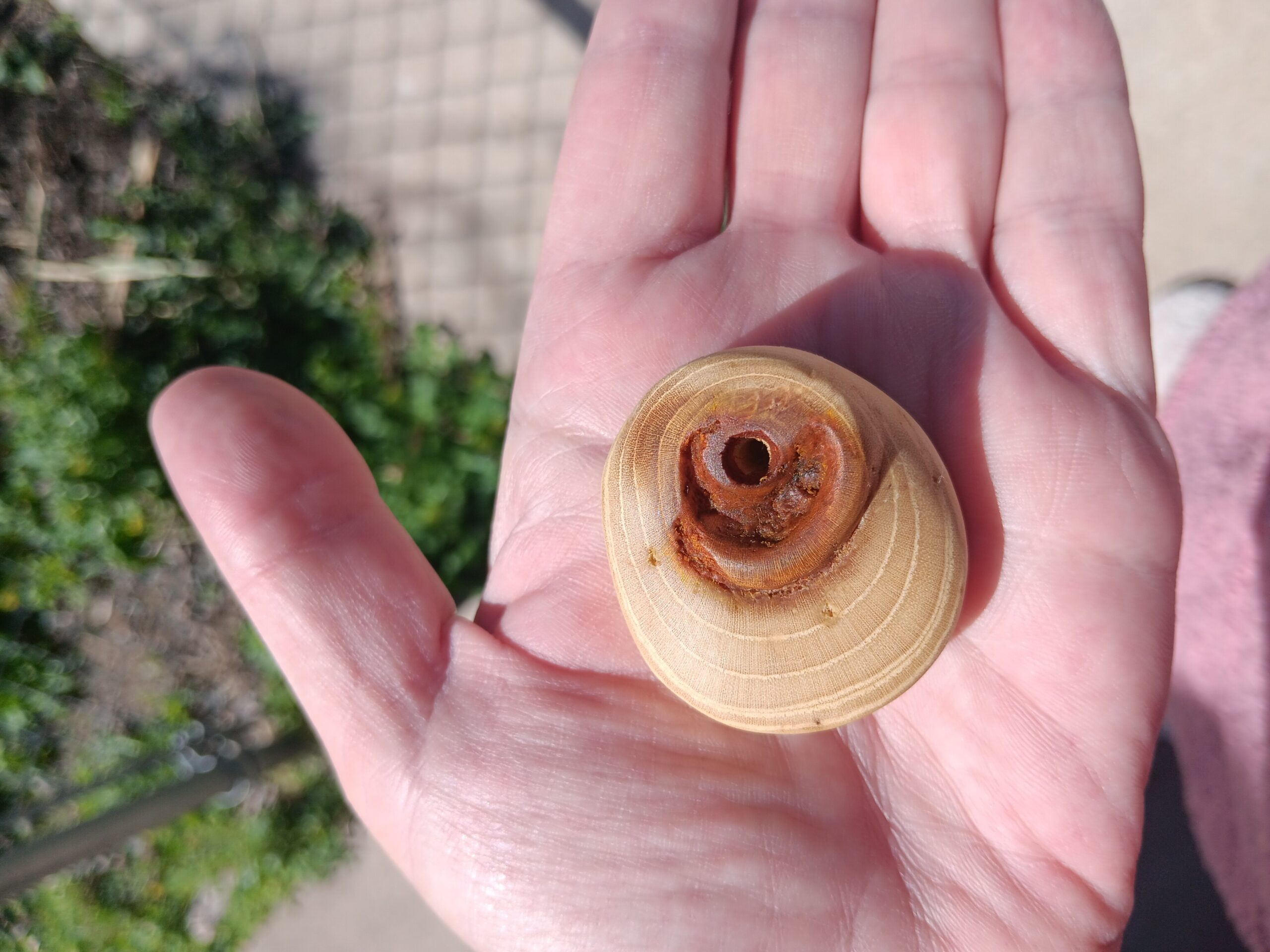 Mulberry & Turmeric: Learn From My Woodcarving Mistakes