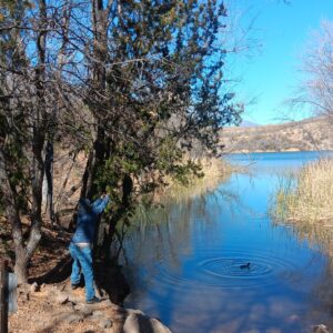 how an old oak tree saved my life
