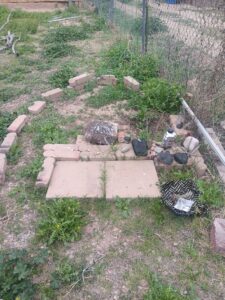 Backyard altar